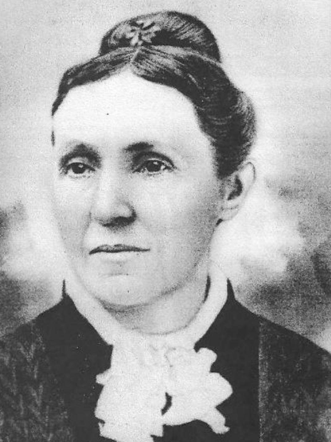 Edna Hinchcliff (1828 - 1906) Profile